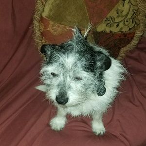 Meet your Posher, Delia